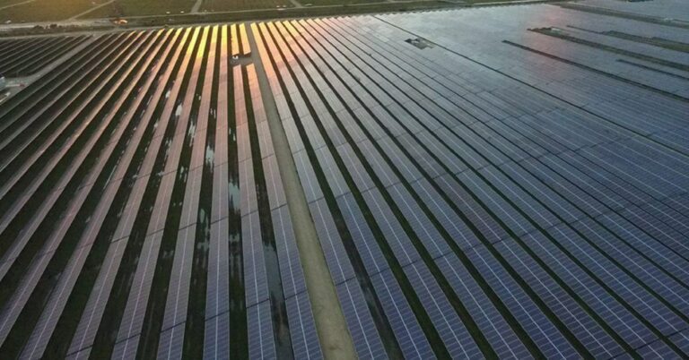 solar field 1024x536 1 | Babcock Ranch