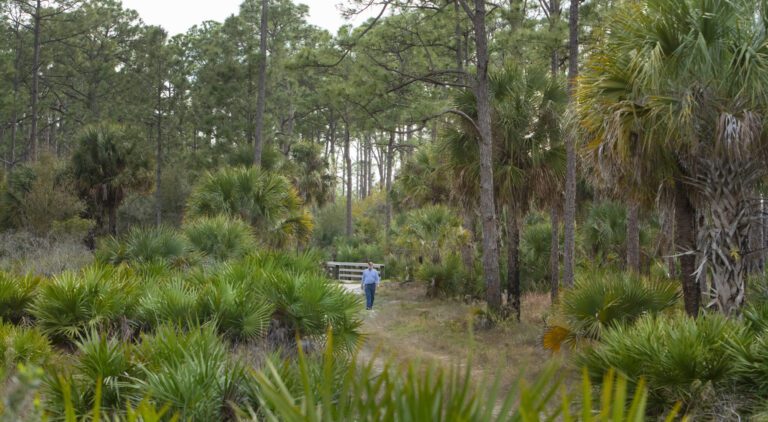 A man walking on a path in the sanctuary preserve