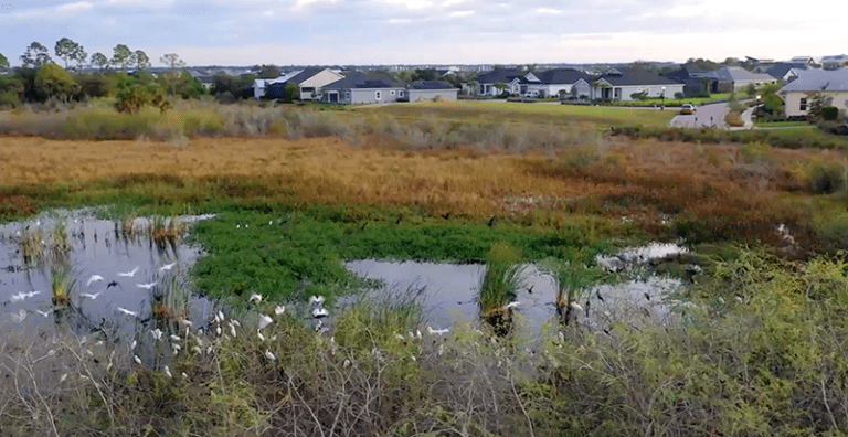 Coexisting with nature | Babcock Ranch