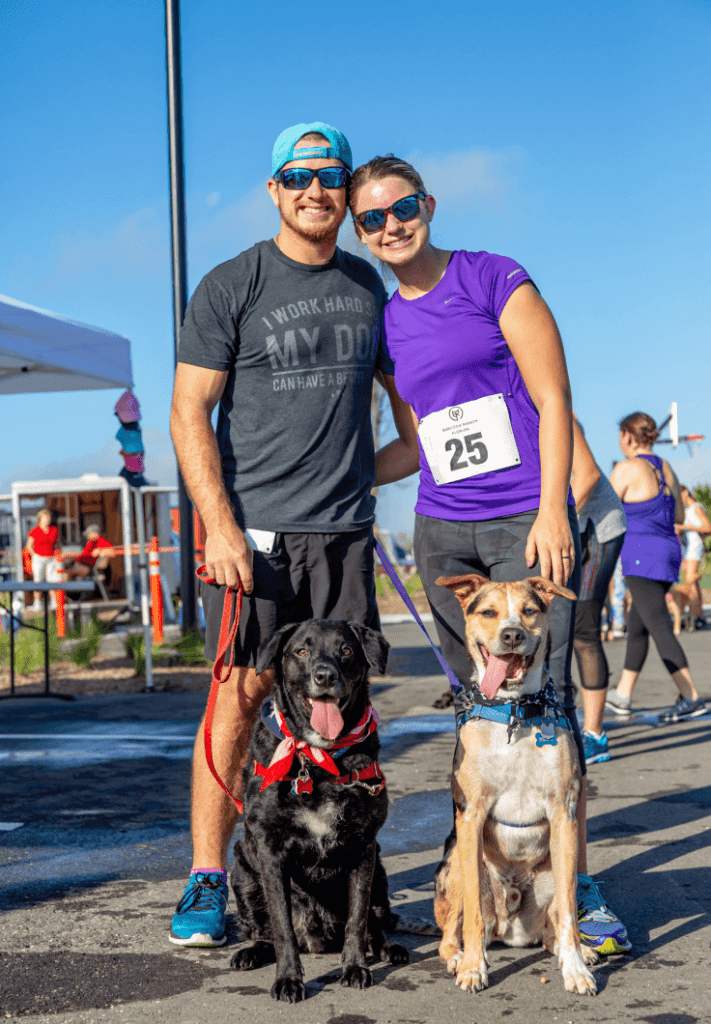 Couple at community event with their dogs