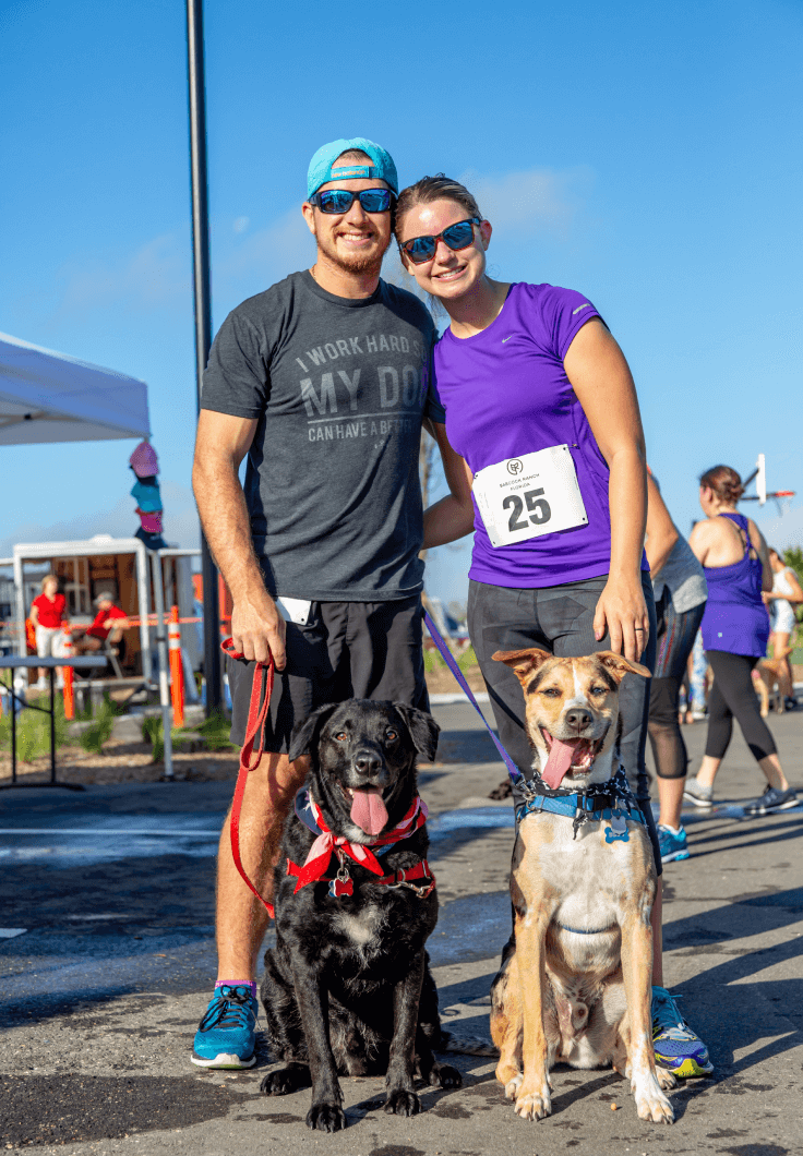 Couple at community event with their dogs