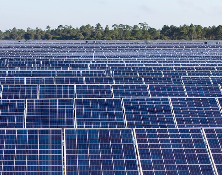 head on view of solar field at babcock ranch