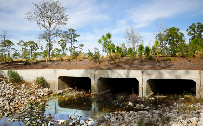 Babcock Ranch exercises careful environmental management to allow residents and nature to coexist