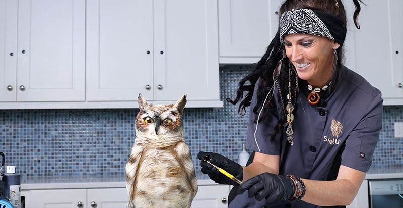 Babcock Ranch Bridges Video Series Season 5 Episode 1