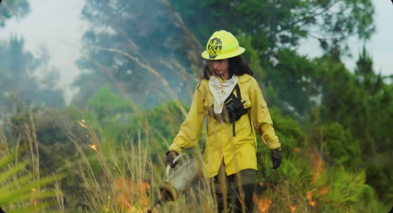 Christina managing controlled burns for nature preservation Christina Managing controlled burns to protect the nature preserve from wild fires