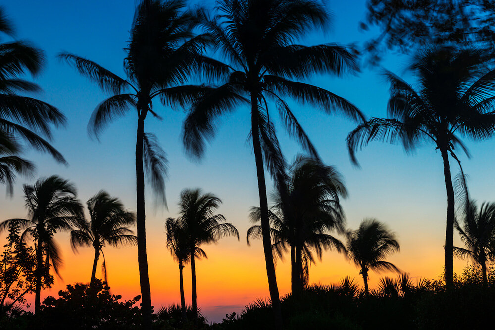 5 Amazing Destinations Less Than an Hour from Babcock Ranch | Babcock Ranch 5 destinations near babcock ranch | Babcock Ranch