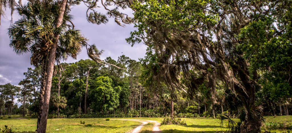 Explore Babcock Ranch Eco-Tours: A Wild Adventure Through Florida’s Natural Beauty | Babcock Ranch Explore Babcock Ranch Eco-Tours