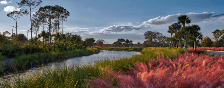 How Babcock Ranch is Leading the Way in Sustainable Living | Babcock Ranch Beautiful Nature views in Babcock Ranch