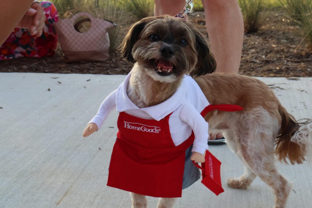 Your Guide to Fall Events at Babcock Ranch | Babcock Ranch Barktober at babcock ranch | Babcock Ranch