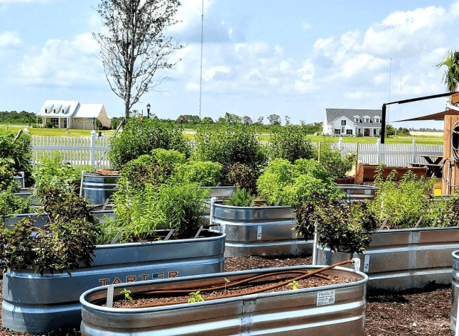 Built for Every Generation, Ready for Every Chapter | Babcock Ranch Community Garden in Babcock Ranch