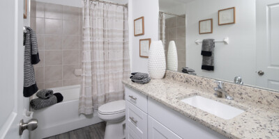 The Flatwoods - Buttonwood Model - Guest Bath | Babcock Ranch