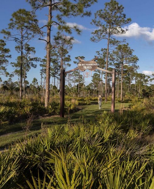 0f4ba21695d04a0be1c98a861c84704e37d0d405 rly69zodr7f0d75bjtgajp72ny8fyqsrkdd9ipj5ma | Babcock Ranch