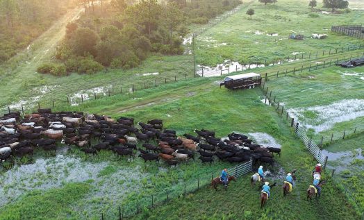 7b0aa6adc324138187b0445b25c8a89d0f6d3160 | Babcock Ranch