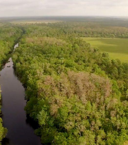 cec29553fbfc0740c4324b98b860228f8464bec1 rly6an6ci2avzscstsvt87laiq09ykojv4h3vtfodw | Babcock Ranch